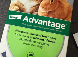 Advantage Flea Treatment