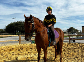 15.3hh 3 yr Reg Hilston part bred appaloosa