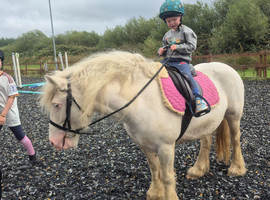 First pony, bombproof, allrounder