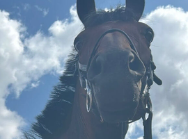 !15.1 sweet tb fun hack !