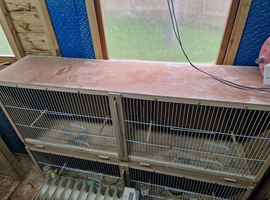 Large  budgie flight cages