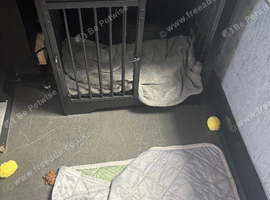 Beautiful sturdy dog cage cupboard black