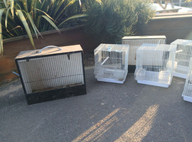 Bird cages for sale
