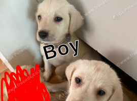 1 girl 1 boy left