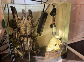 Fish tank