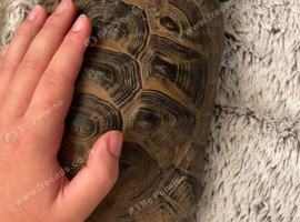 Lovely 20yr Mediterranean male