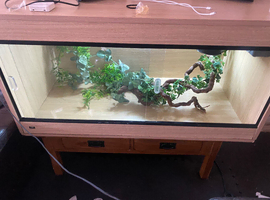 Reptile tank