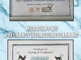 MOBILE Microchipping and Confirmation of Pregnancy ultrasound scanning for dogs,cats,all small animals