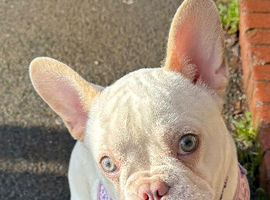 Bonnie