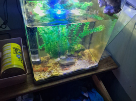 Small fiah tank for sale