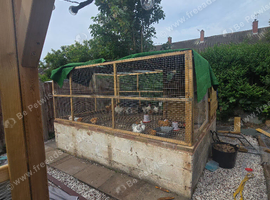 ****Rehoming Place****