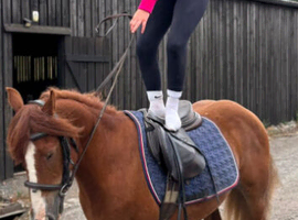 *** MOTHERS DREAM PONY ***