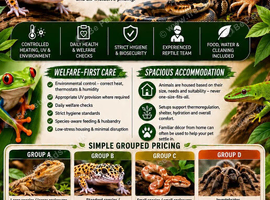 REPTILE HOLIDAY BOARDING