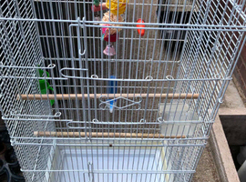 budgie cages with accesseries