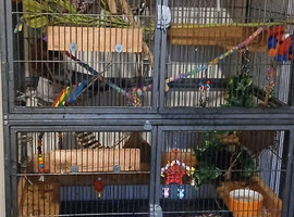 Bonded pair sugar gliders
