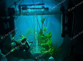 Fish tank for sale