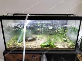 Fish tank with lid
