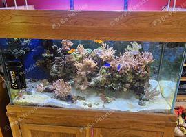 Marine setup complet ready to go