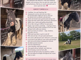BRIELLA- GYPSY COB