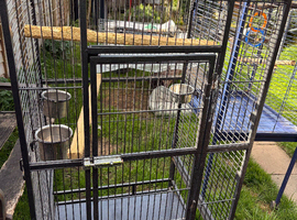 Nice parrot cage for sale