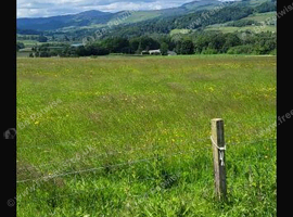 Grazing Available