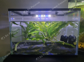 Tank 25L