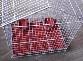 Bird cage for sale