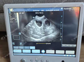HAVEN mobile pet pregnancy scanning