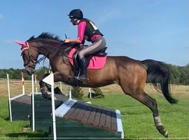 Team Chase / Hunt Allrounder