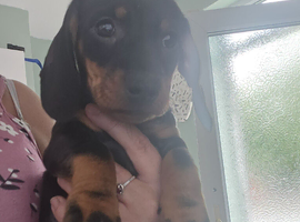 Beautiful little boy