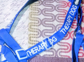 THERAPY DOG/ASSISTANCE DOG COLLAR AND MATCHING LEAD WITH SOFT AND STRONG HARNESSES