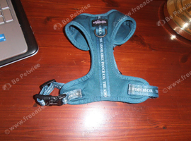 Dog Harness Extra Small & Bits