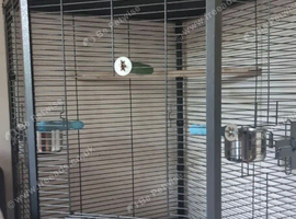 Liberta Alaska Corner Parrot Cage