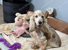 Winnie is looking for her retirement home