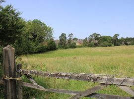 3 acres of grazing land available