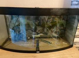 Fish Tank