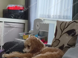 10 mths old