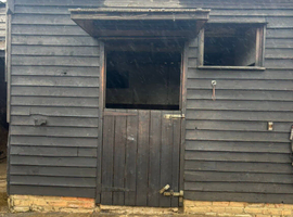 DIY livery for Mares in Dunstable LU6
