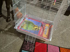 Bird cage