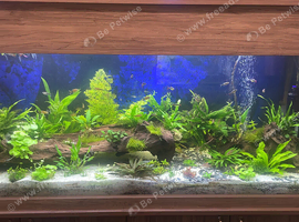 510 lier fish tank available