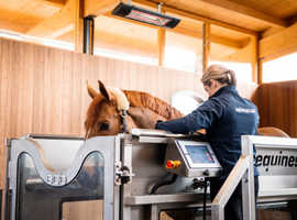Water Treadmill for Horses