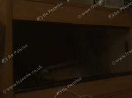 SMALL VIV AND ACCESSORIES FOR SALE
