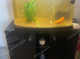 Fish tank and full setup