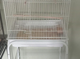 Budgie cage