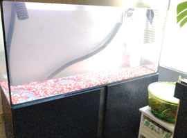 Fish tank 4ft with Fluval fx5 filter