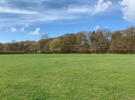 Grass livery available near princes risborough