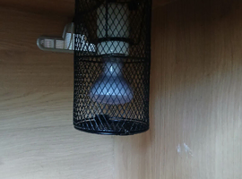 Vivarium and cabinet