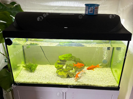 105L fish tank