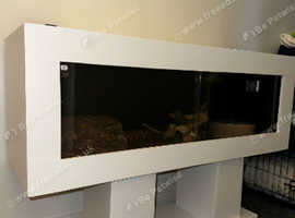 Standard 4ft White viv with stand.