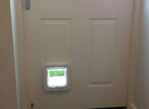 Cat Flap Fitting